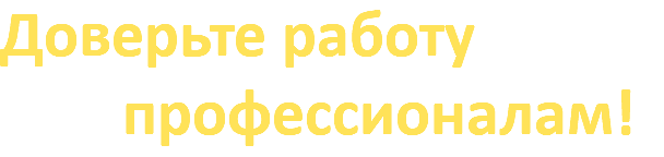 Доверьте работу профессионалам!